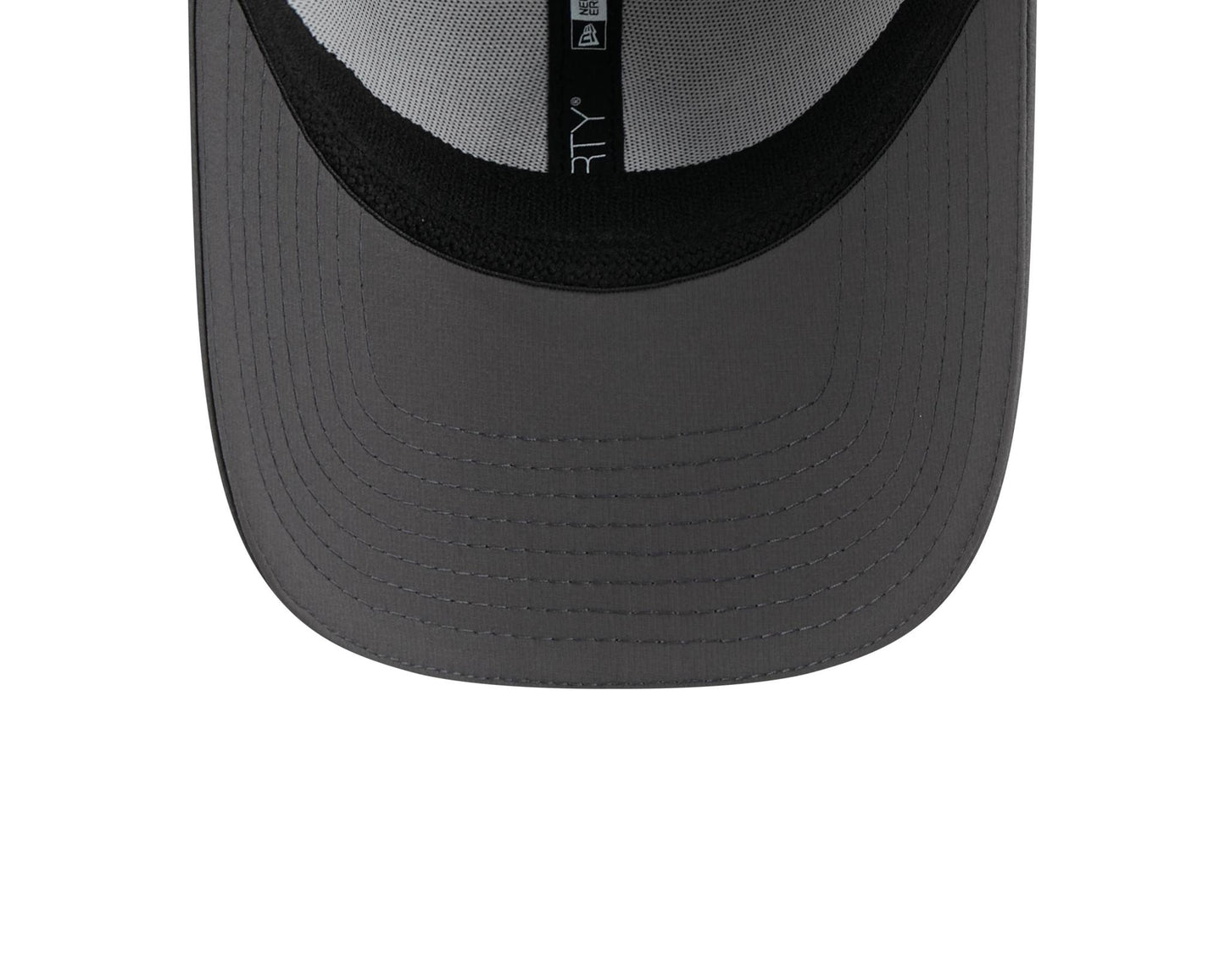 Pittsburgh Steelers Grey/Graphite 2025 NFL Training Camp 39THIRTY Hat