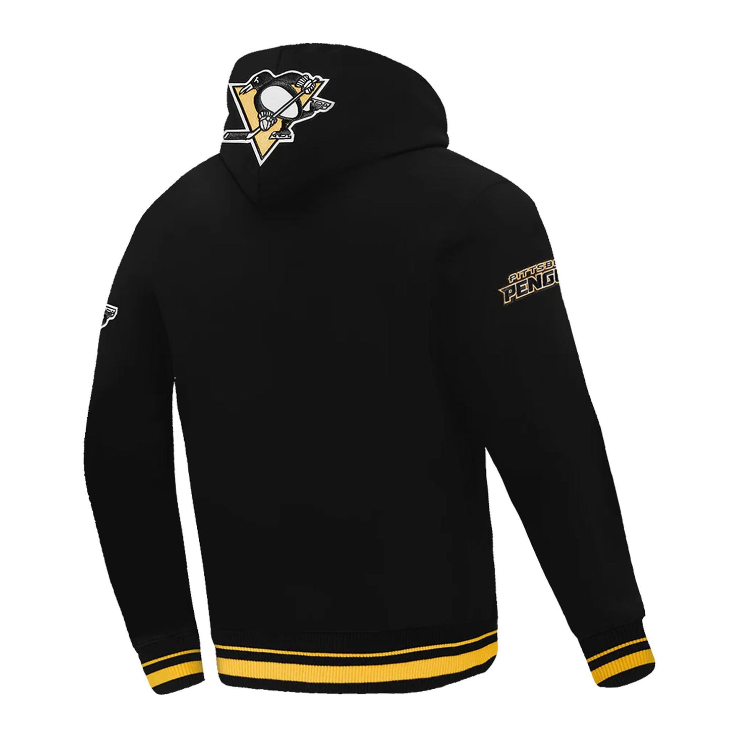 Pittsburgh Penguins Pro Standard Script Tail Rib Fleece Black Pullover Hoodie