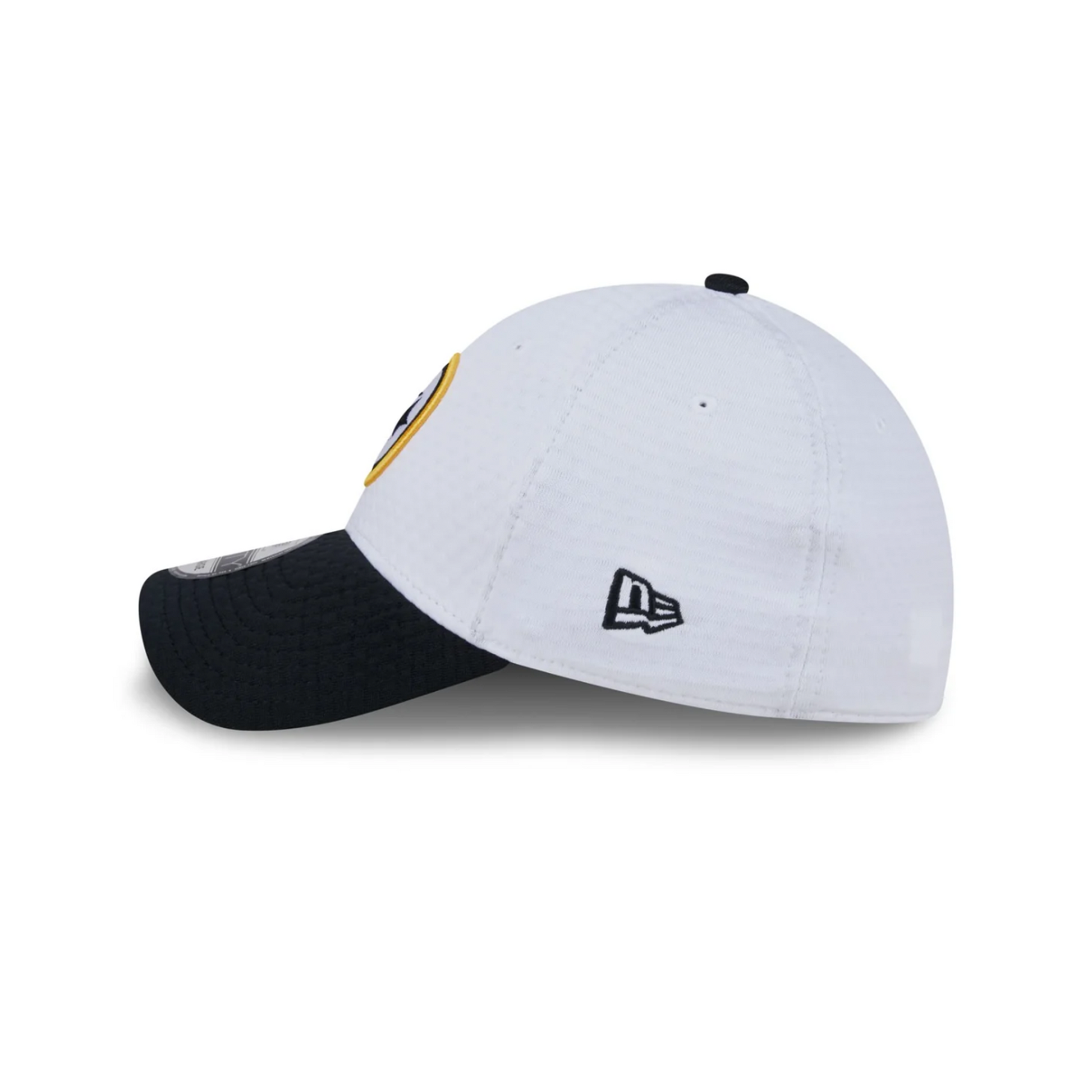 Pittsburgh Steelers 2024 Training 39THIRTY Flex Hat Definitely You Pittsburgh