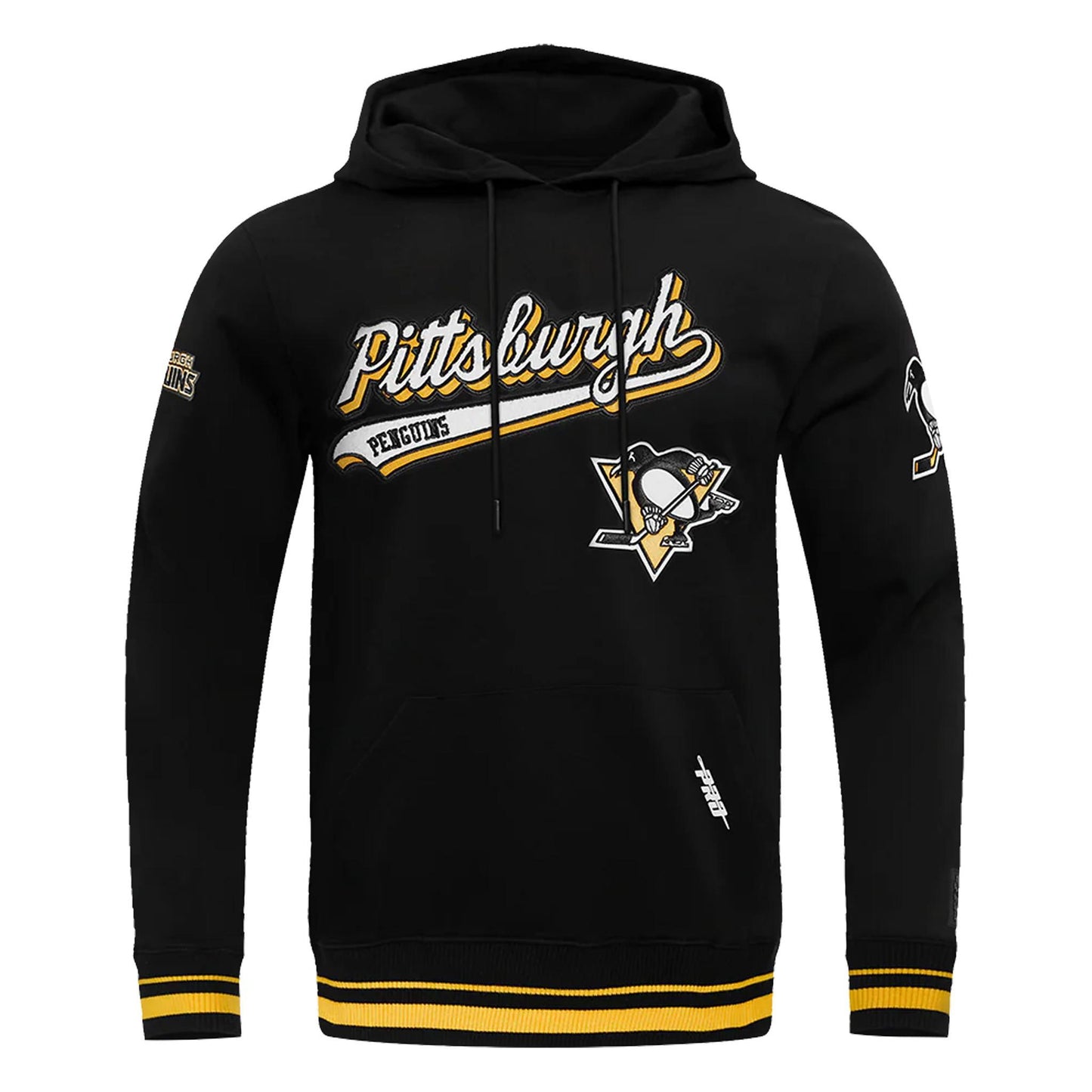 Pittsburgh Penguins Pro Standard Script Tail Rib Fleece Black Pullover Hoodie
