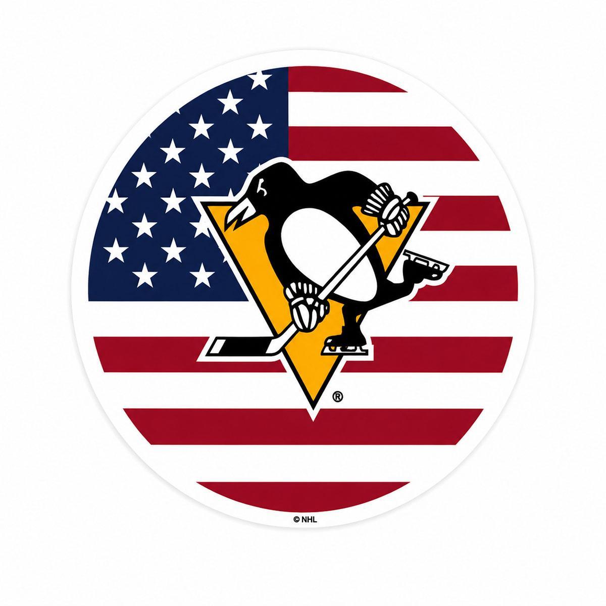 Pittsburgh Penguins USA 3" Sticker