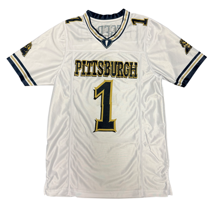 Pitt Panthers White Larry Fitzgerald Player Football Jersey