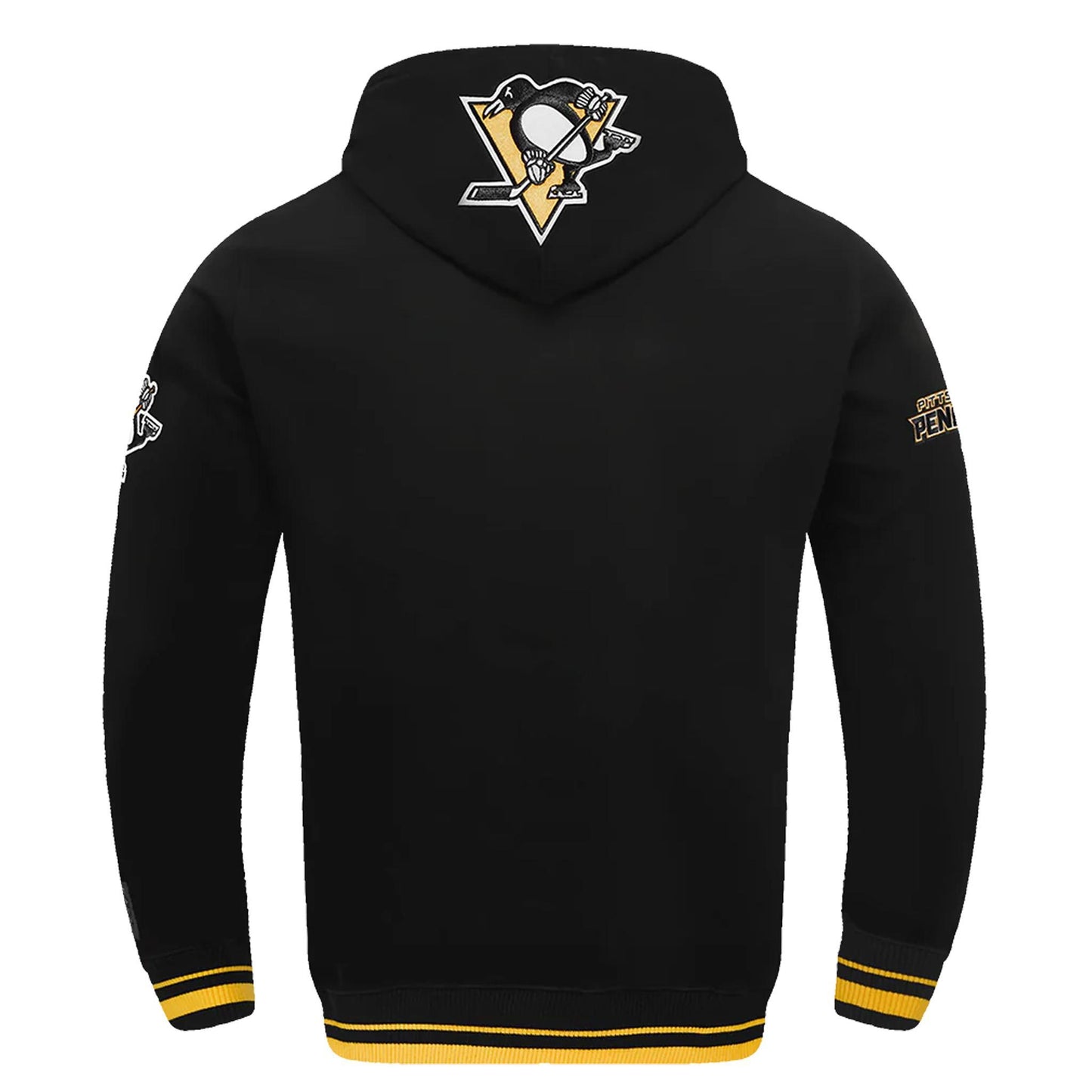 Pittsburgh Penguins Pro Standard Script Tail Rib Fleece Black Pullover Hoodie