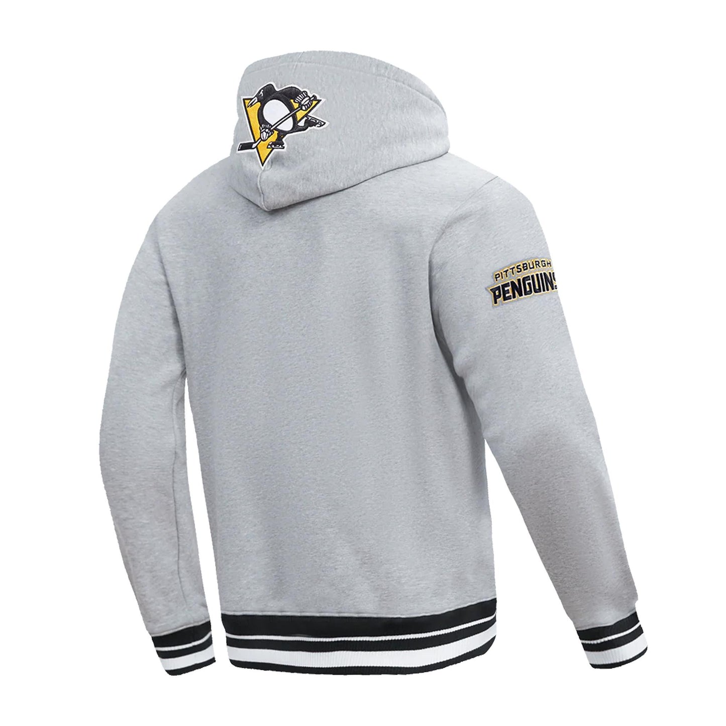 Pittsburgh Penguins Pro Standard Script Tail Rib Fleece Grey Pullover Hoodie